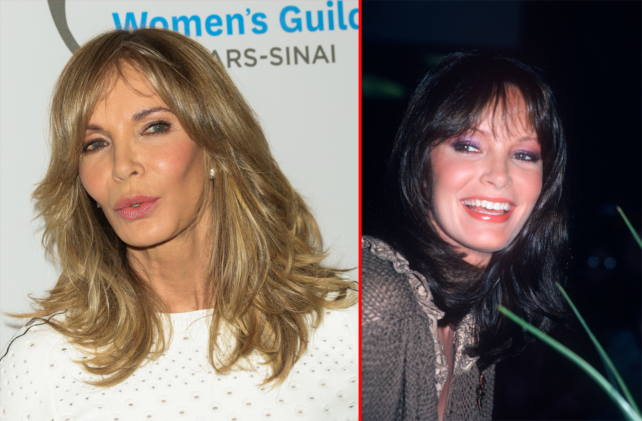 Jaclyn Smith: Angel's Plastic Surgery Is Hell On Her Face