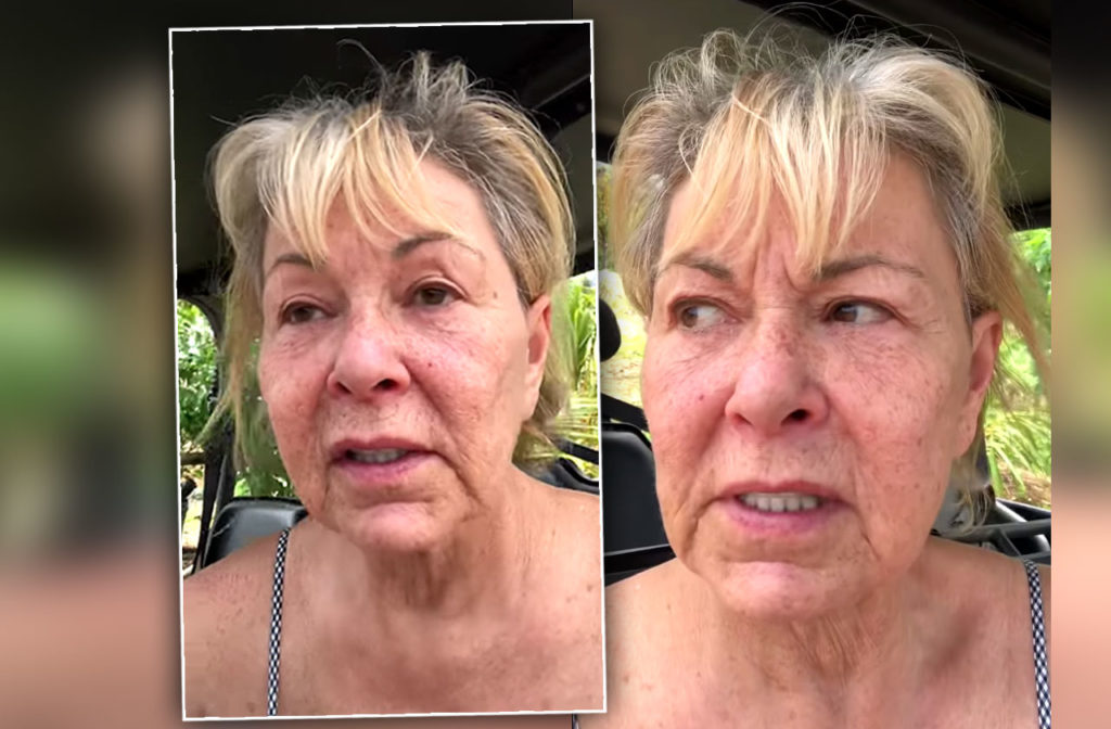 Roseanne Barr Goes on ‘F-g’ Rant