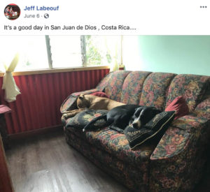 Jeff LaBeouf Instagram Page Showing Dogs Laying On Couch